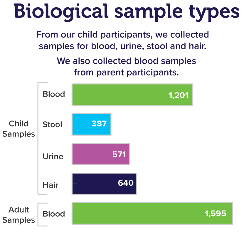 Inforgraphic of biological samples types.
                        From our child participants, we collected samples for blood, urine, stool and hair.
                        We collected the following child samples: 1,201 blood, 387 stool, 571 urine, 640 hair.
                        We also collected 1,595 blood samples from parent participants.