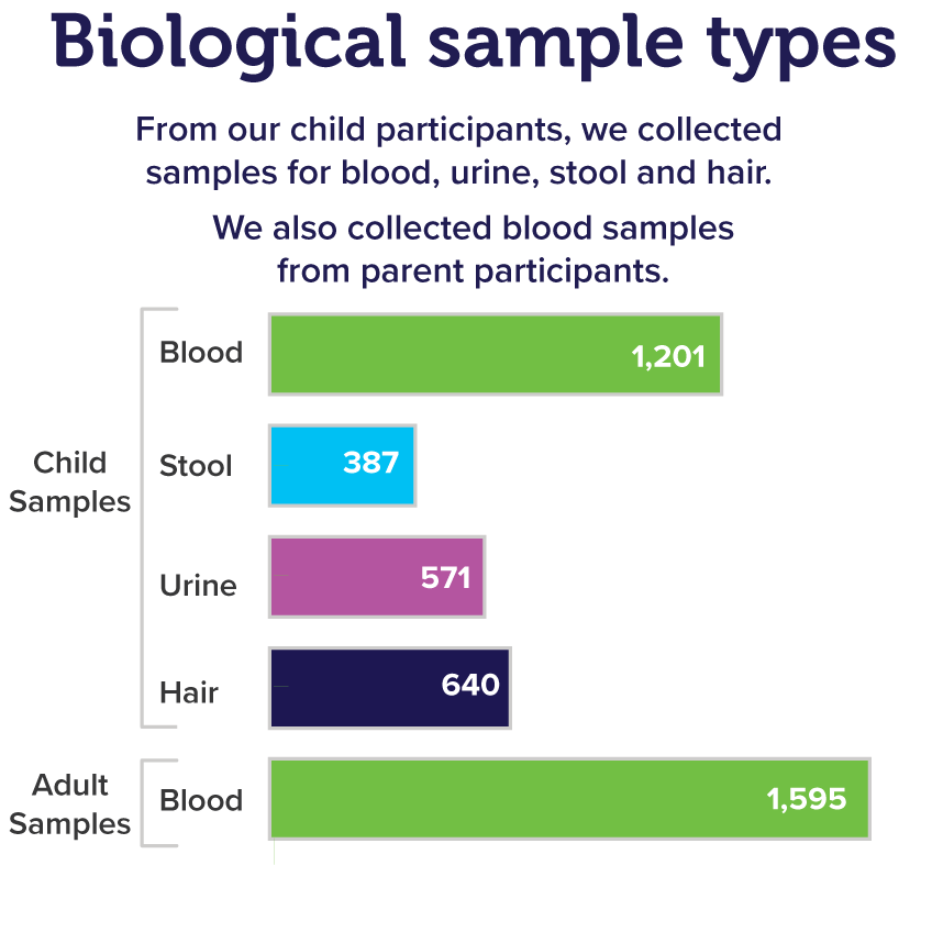 Inforgraphic of biological samples types.
From our child participants, we collected samples for blood, urine, stool and hair.
We collected the following child samples: 1,201 blood, 387 stool, 571 urine, 640 hair.
We also collected 1,595 blood samples from parent participants.
